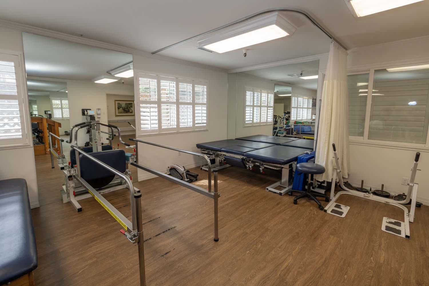 Therapy Gym